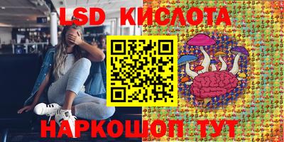 мяу мяу кристалл Малоярославец